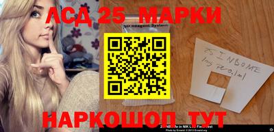 гашик Владимир