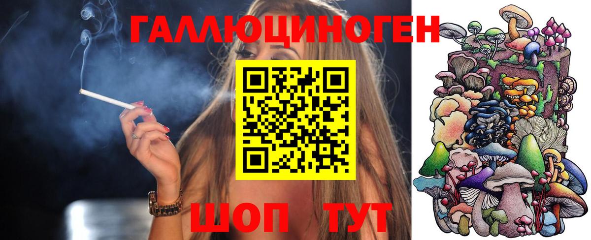 Псилоцибиновые грибы Psilocybe  Вход с VPN  Нерюнгри 
